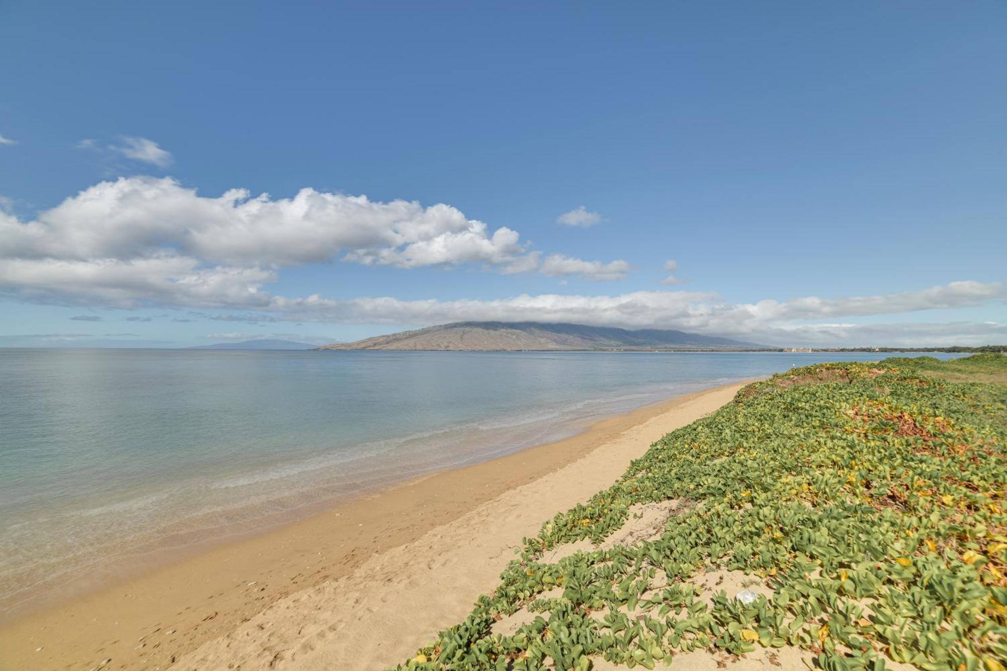 Kihei Haven At Village By The Sea, Steps To Beach! Ngoại thất bức ảnh